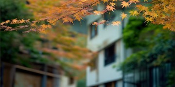 枫桥馨苑物业究竟是什么意思？