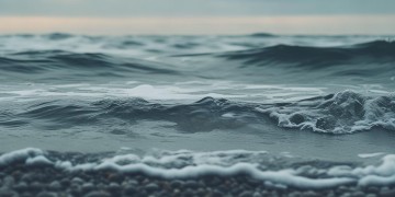 海伦二路物业真的可靠吗？