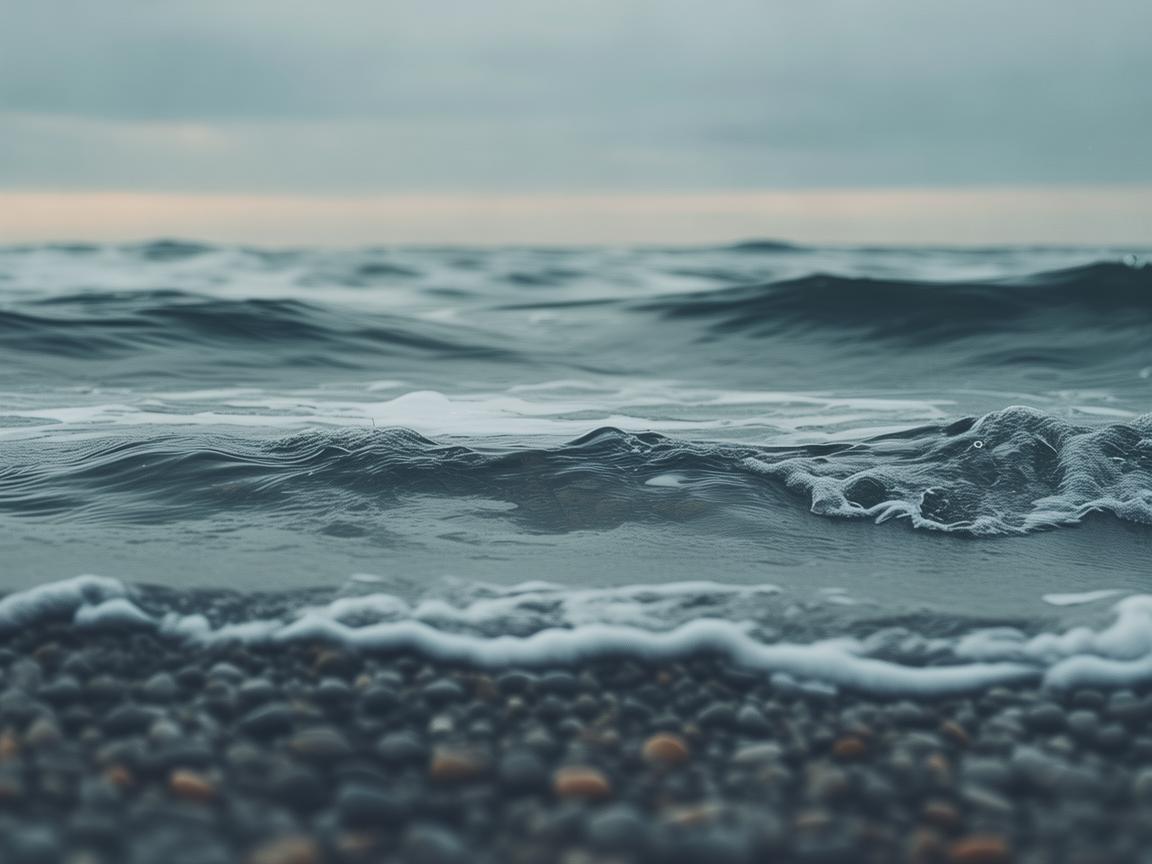 海伦二路物业真的可靠吗？